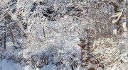 新疆冬季（新疆冬季最低气温多少度）